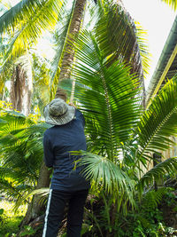 Rear view of woman standing by coconut tree