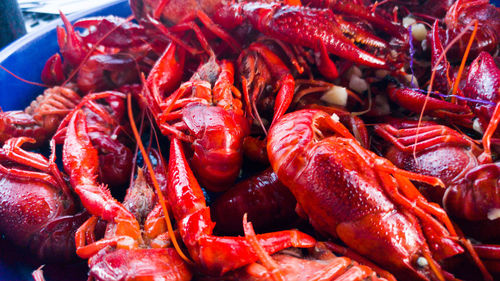 Close-up of red chili peppers