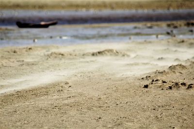 Scenic view of beach