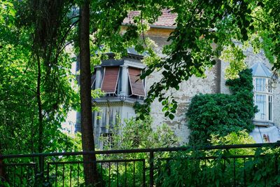 Low angle view of tree by building