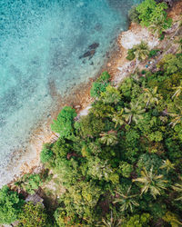 Aerial view from a coastline in the tropics. blue water and palm trees