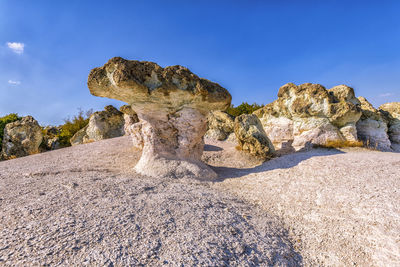 The stone mushrooms is a rock phenomenon