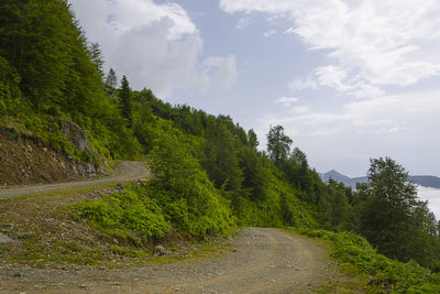 Road amidst trees against sky