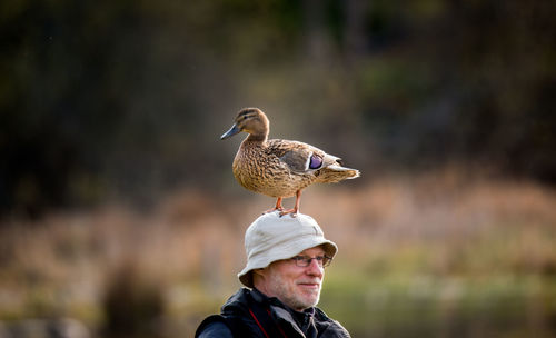 Full length of a bird