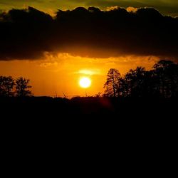 Silhouette trees against sky during sunset