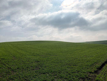 Scenic view of agricultural field against sky