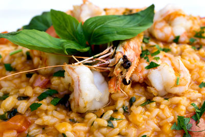 Close-up of food in plate