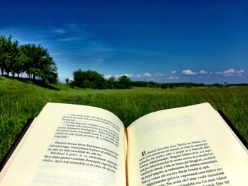 Trees on grassy field