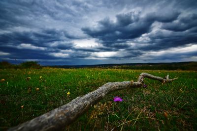 Scenic view of field against cloudy sky