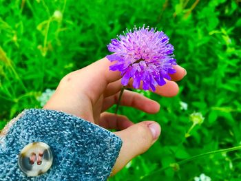 Close-up of hand holding flower