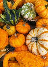 High angle view of pumpkins for sale at market