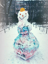 Close-up of human eye