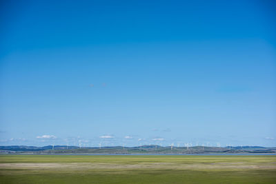 Scenic view of field against blue sky