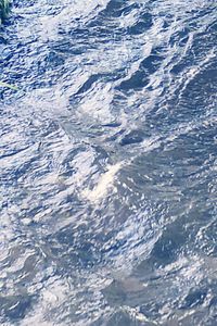 Full frame shot of rippled water