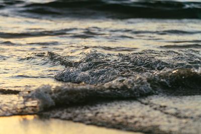 Close-up of sea shore