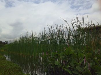 Scenic view of lake against sky