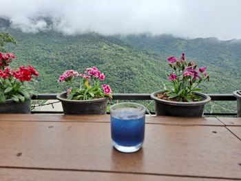 Potted plants on table against mountains