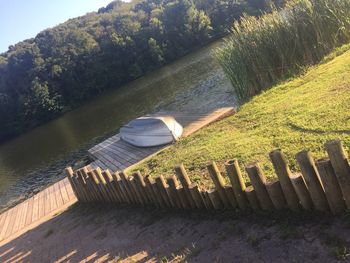 High angle view of wood by lake