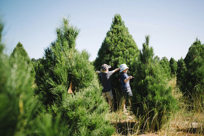 Boys standing by christmas tree in farm against sky