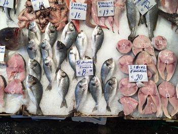 High angle view of fishes on ice for sale at fish market