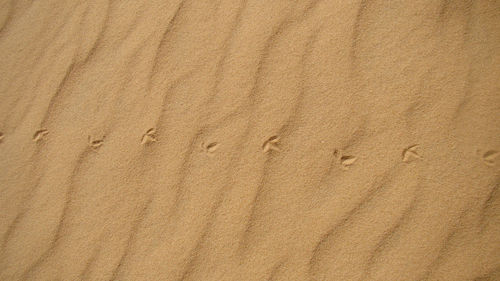 Full frame shot of sand