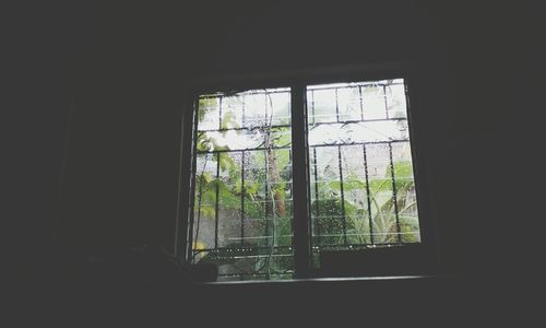 window