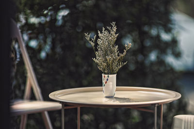 Close-up of glass on table