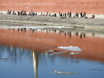 Birds in a lake