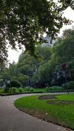 Trees by road against sky