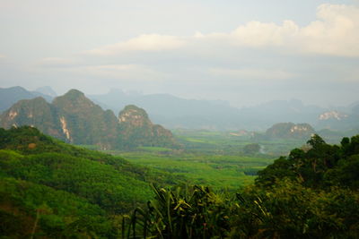 Scenic view of agricultural landscape against sky