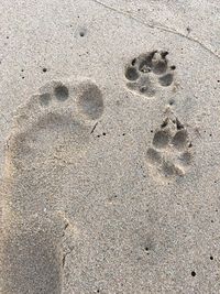 Full frame shot of beach