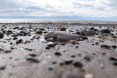 Rocks on beach against sky