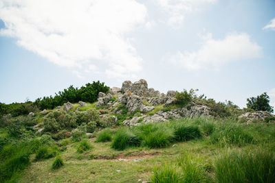 Top of the hill, mediterranean landscape