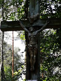 Low angle view of statue against tree trunk