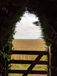 Empty bench on field against sky