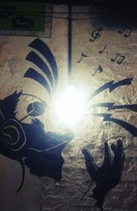 Close-up of a black cat