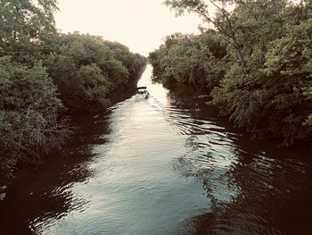 River flowing amidst trees in forest against sky