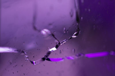 Close-up of water drops seen through broken ice