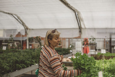 Mature woman choosing seedlings in plant nursery