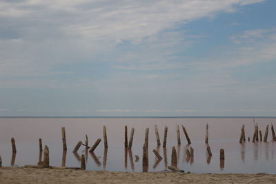 Wooden posts on beach against sky