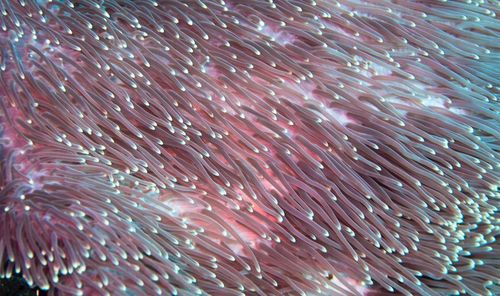 Full frame shot of abstract