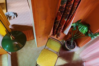 High angle view of potted plant on table