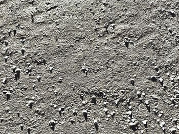 Full frame shot of tiled floor