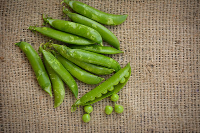 High angle view of green chili pepper on table