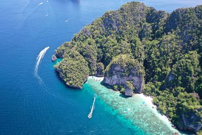 High angle view of trees by sea