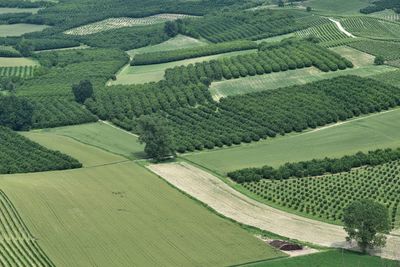 Aerial view of a patchwork landscape in piedmont country, langhe, italy