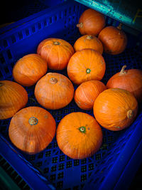 High angle view of pumpkins in market