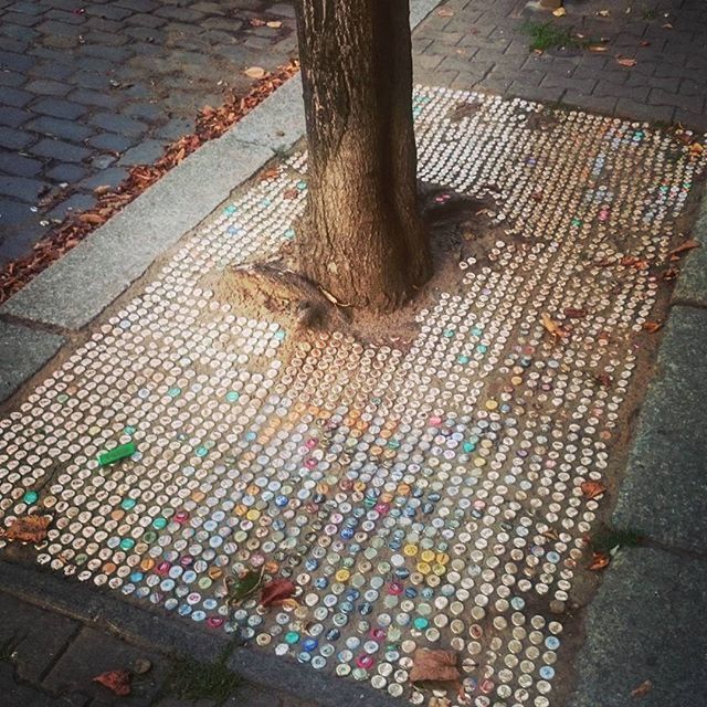 high angle view, street, cobblestone, sidewalk, paving stone, road, footpath, outdoors, shadow, day, pavement, pattern, sunlight, asphalt, ground, elevated view, textured, fallen, no people, autumn