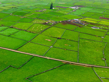 High angle view of agricultural field