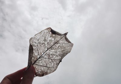 Close-up of hand holding umbrella against sky